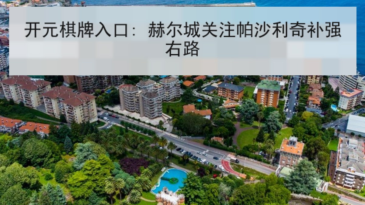 开元棋牌入口: 赫尔城关注帕沙利奇补强右路