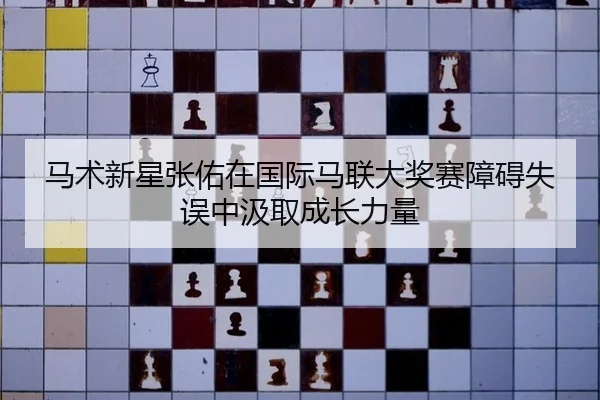 马术新星张佑在国际马联大奖赛障碍失误中汲取成长力量